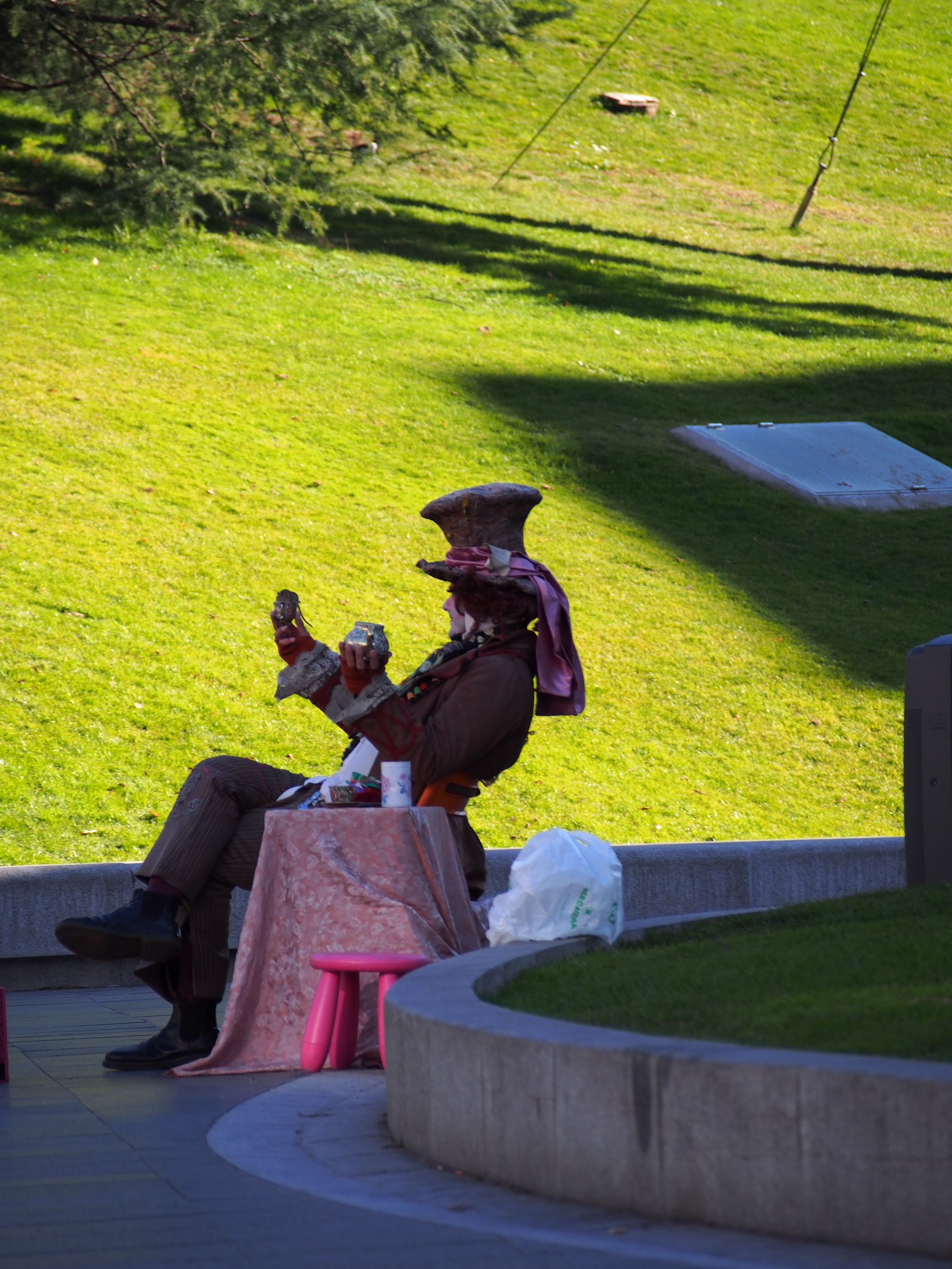 OLYMPUS DIGITAL CAMERA